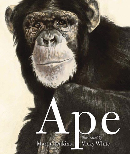 Ape, Martin Jenkins - Paperback - 9780763649746