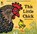 This Little Chick, John Lawrence - Paperback - 9780763663506