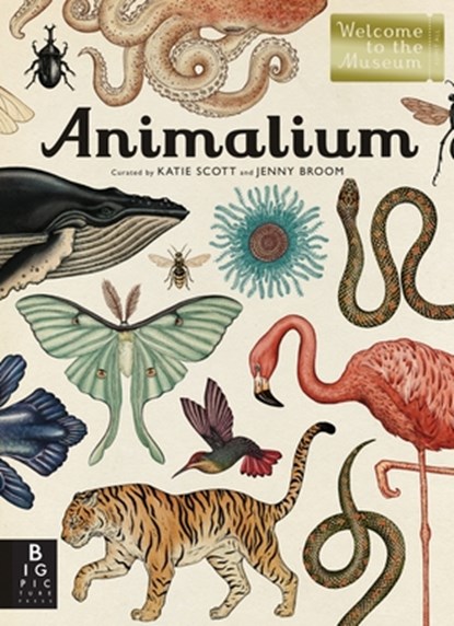 Animalium: Welcome to the Museum, Jenny Broom - Gebonden - 9780763675080
