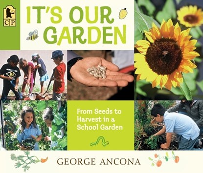 It's Our Garden: From Seeds to Harvest in a School Garden, George Ancona - Paperback - 9780763676919
