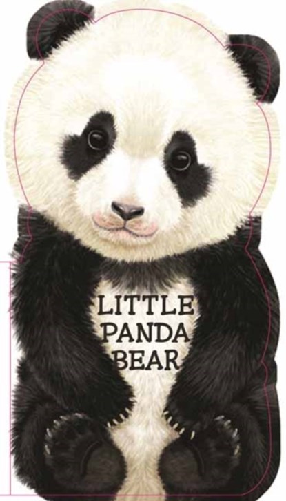 Little Panda Bear, niet bekend - Gebonden - 9780764167393