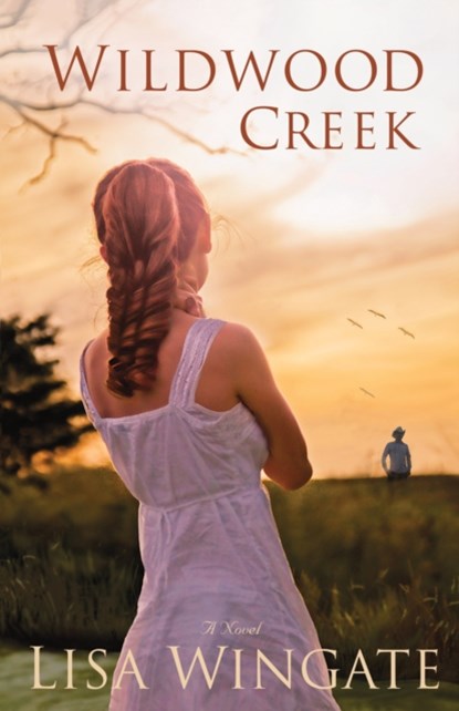 Wildwood Creek – A Novel, Lisa Wingate - Paperback - 9780764208249