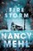 Fire Storm, Nancy Mehl - Paperback - 9780764231858