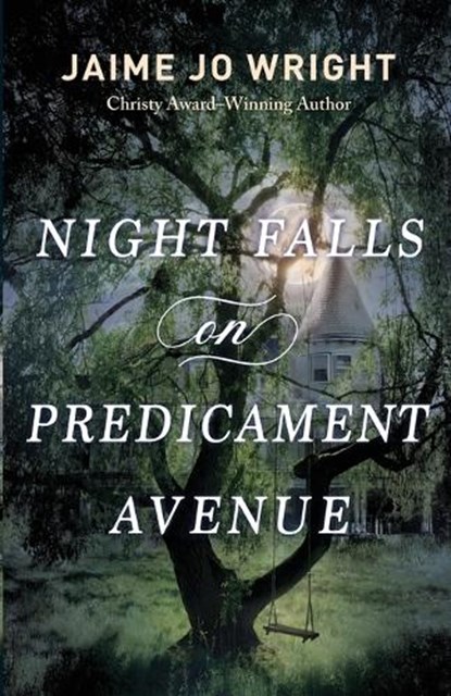 Night Falls on Predicament Avenue, Jaime Jo Wright - Paperback - 9780764241451