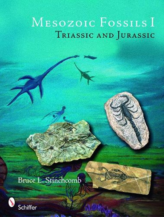 Mesozoic Fsils: Triassic and Jurassic