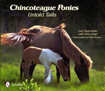 Chincoteague Ponies, Lois Szymanski - Paperback - 9780764340857