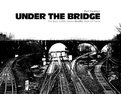 Under the Bridge, Paul Cavalieri - Gebonden - 9780764345920