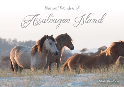 Natural Wonders of Assateague Island, Mark Hendricks - Gebonden - 9780764353406