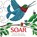 SOAR, Hillary Daecher - Gebonden - 9780764359873