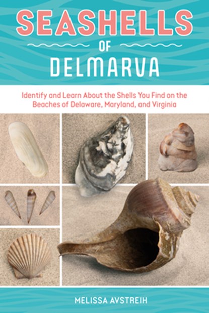 Seashells of Delmarva, Melissa Avstreih - Paperback - 9780764371127