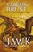 Hawk, Steven Brust - Paperback - 9780765380647