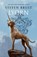 Lyorn, Steven Brust - Paperback - 9780765382870