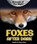Foxes After Dark, NIVER,  Heather Moore - Paperback - 9780766072121