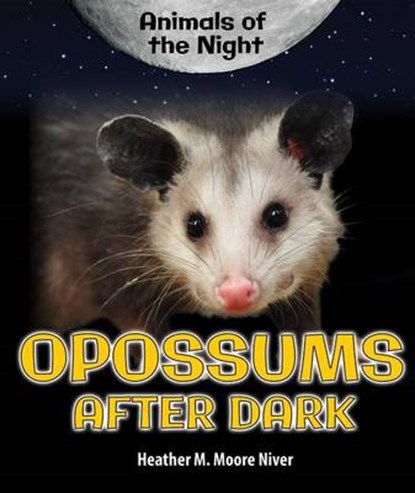 Opossums After Dark, NIVER,  Heather Moore - Paperback - 9780766073029