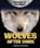 Wolves After Dark, NIVER,  Heather Moore - Paperback - 9780766074163