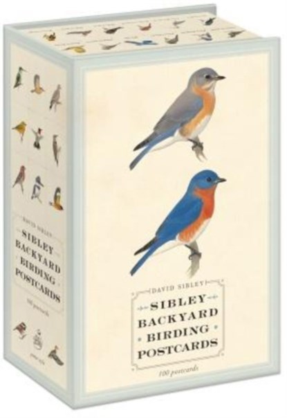 Sibley Backyard Birding Postcards, David Sibley ; David Allen Sibley - Losbladig Boxset - 9780770433963