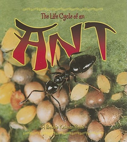 The Life Cycle of the Ant, Hadley Dyer - Paperback - 9780778707004