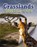 Grasslands, James Bow - Paperback - 9780778707066