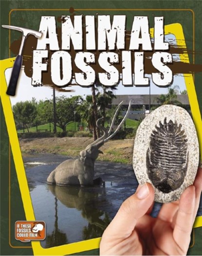 Animal Fossils, Natalie Hyde - Paperback - 9780778712657