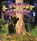 A Forest Habitat, Bobbie Kalman - Paperback - 9780778729792