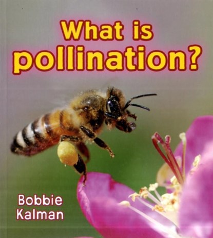 What is pollination?, Bobbie Kalman - Paperback - 9780778733065