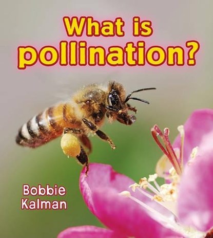 What is pollination?, Bobbie Kalman - Paperback - 9780778733065