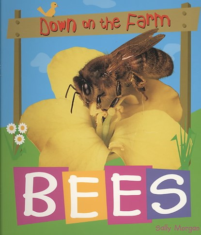Bees, Sally Morgan - Paperback - 9780778740490