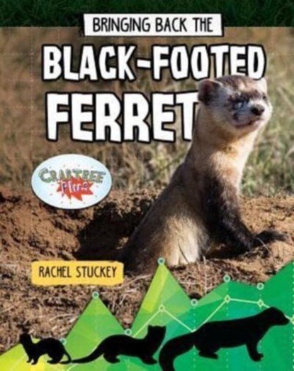 Bringing Back the Black-Footed Ferret, Rachel Stuckey - Paperback - 9780778763246