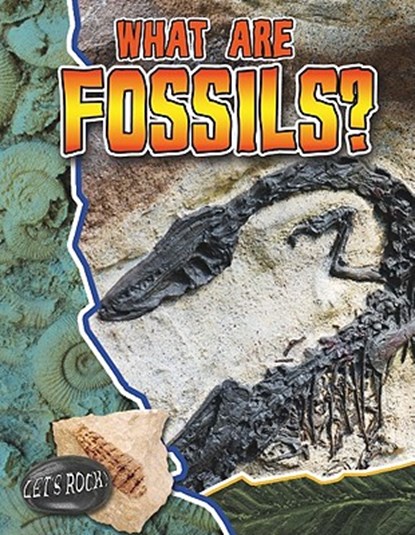 What Are Fossils? - Lets Rock, Natalie Hyde - Paperback - 9780778772194