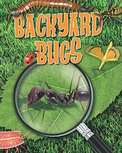 Backyard Bugs, Louise A. Spilsbury - Paperback - 9780778778639