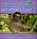 Where do animals live?, Bobbie Kalman - Paperback - 9780778794936