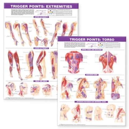 Trigger Point Chart Set: Torso & Extremities Paper, Anatomical Chart Company - Gebonden - 9780781773065