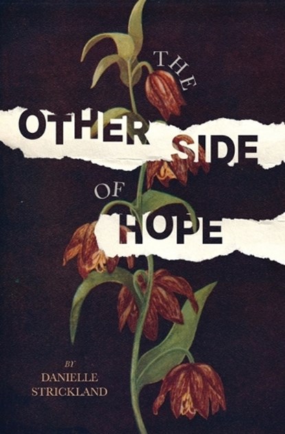The Other Side of Hope, Danielle Strickland - Paperback - 9780785230175