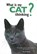 What Is My Cat Thinking?, BAILEY,  Gwen - Gebonden - 9780785834304