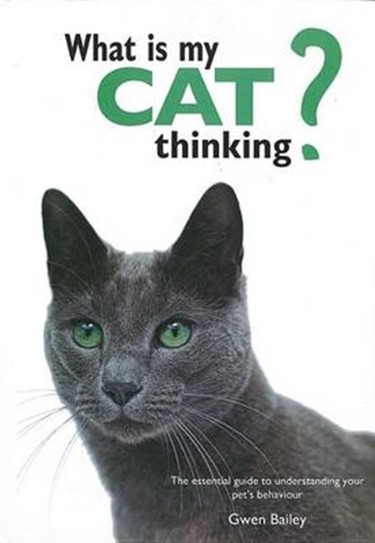 What Is My Cat Thinking?, BAILEY,  Gwen - Gebonden - 9780785834304