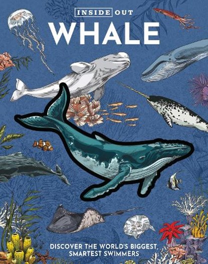 Inside Out Whale, Editors of Chartwell Books - Gebonden - 9780785847649