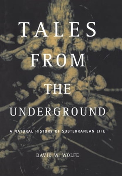 Tales From The Underground, David Wolfe - Ebook - 9780786730933