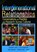 Intergenerational Relationships, Sally M. Newman ; Elizabeth Larkin ; Dov Freidlander ; Richard Goff - Gebonden - 9780789026255
