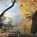 The Ramble in Central Park, Robert A. McCabe - Gebonden - 9780789210913