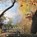The Ramble in Central Park, Robert A. McCabe - Paperback - 9780789211996