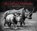 Blood Moon, Dereck Joubert ; Beverly Joubert - Gebonden - 9780789344397