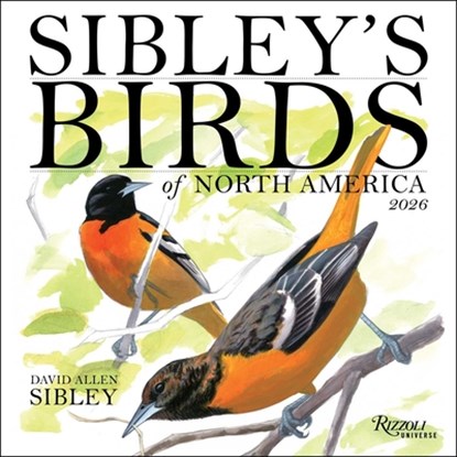 Sibley's Birds of North America 2026 Wall Calendar, David Allen Sibley - Paperback - 9780789348715