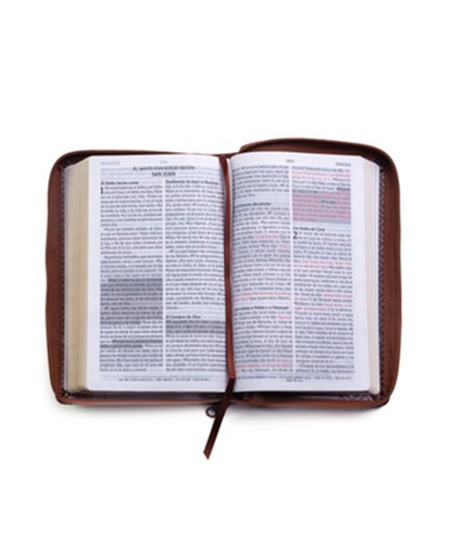 Santa Biblia de Promesas Reina Valera 1960 / Tamaño Manual / Letra Grande / Piel Especial Con Cierre / Café // Spanish Promise Bible Rv60 / Handy Size, Editorial Unilit - Gebonden - 9780789925879