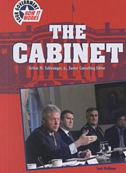 The Cabinet, Sam Wellman - Gebonden - 9780791059937