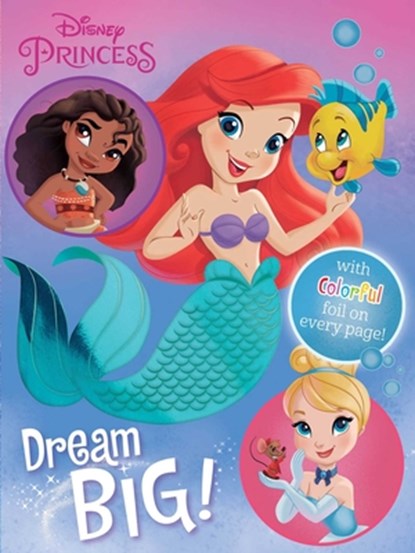 Disney Princess: Dream Big!, Maggie Fischer - Gebonden - 9780794445966