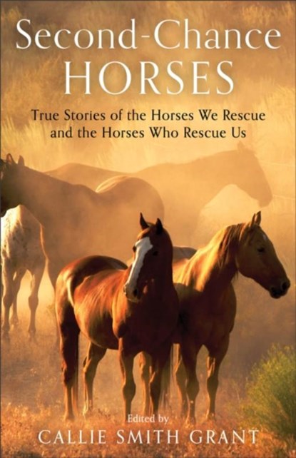 Second–Chance Horses – True Stories of the Horses We Rescue and the Horses Who Rescue Us, Callie Smith Grant - Paperback - 9780800737948