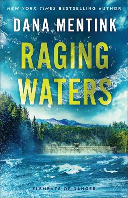 Raging Waters, Dana Mentink - Paperback - 9780800746537