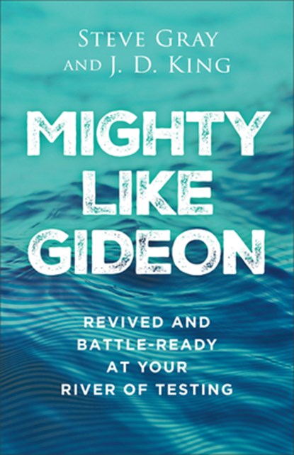 Mighty Like Gideon: Revived and Battle-Ready at Your River of Testing, Steve Gray - Paperback - 9780800772987
