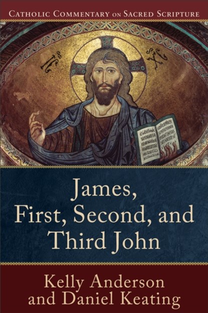James, First, Second, and Third John, Kelly Anderson ; Daniel Keating ; Peter Williamson ; Mary Healy - Paperback - 9780801049224