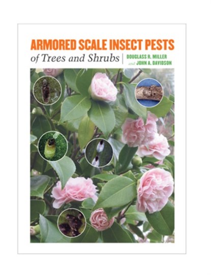 Armored Scale Insect Pests of Trees and Shrubs (Hemiptera: Diaspididae), Douglass R. Miller ; John A. Davidson - Gebonden - 9780801442797